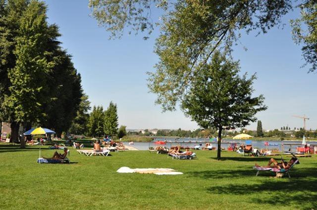 Schoenes Living Am Donauufer Viyana Dış mekan fotoğraf